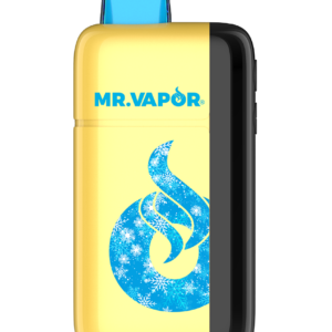 Mr. Vapor Arctic 30000 Puffs Disposable Vape